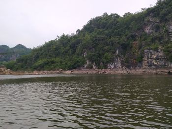 Scenic view of lake by trees against sky