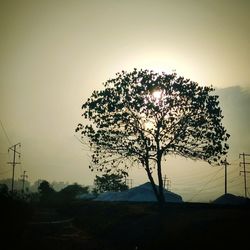 Silhouette tree against sky during sunset