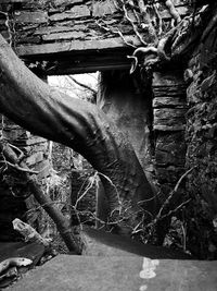 Low section of man on tree trunk