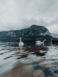 Impressions of hallstatt