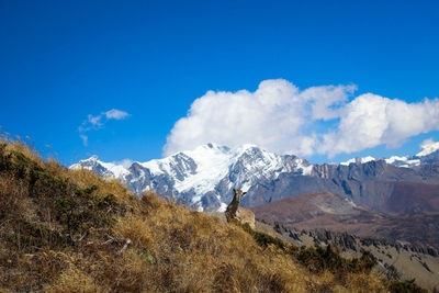 Scenic view of snowcapped mountains against sky
