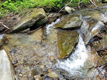 River flowing through rocks in forest