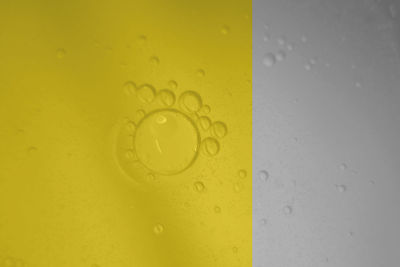 Close-up of raindrops on yellow glass