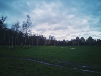 Scenic view of field by trees against sky