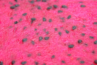 Full frame shot of pink fruit