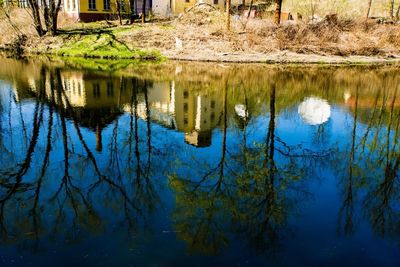 Reflection of trees and buildings in lake