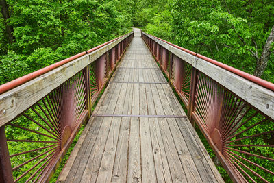 High angle view of bridge in forest