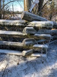 Snow on bare tree during winter