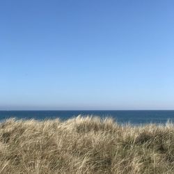 Scenic view of sea against clear blue sky