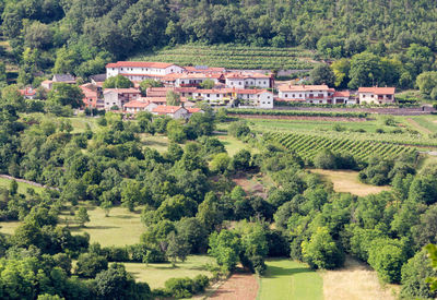 High angle view of trees and houses in village