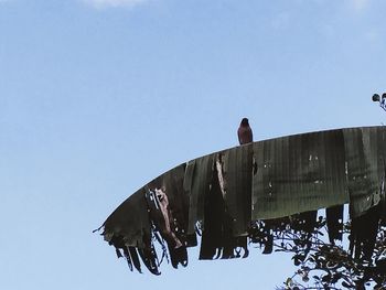 Low angle view of men perching on cable against clear blue sky