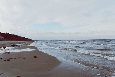 Scenic view of beach against sky