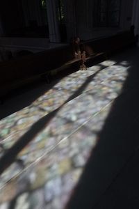 Shadow of people walking on floor