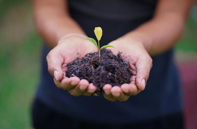 Close-up of hand holding plant