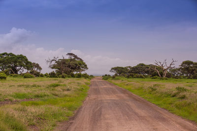 Empty road amidst field against sky