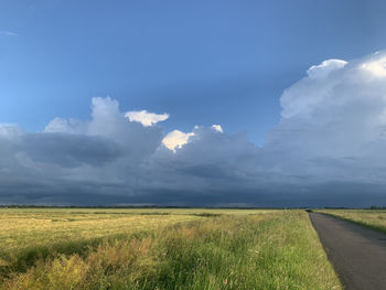 Scenic view of field against sky