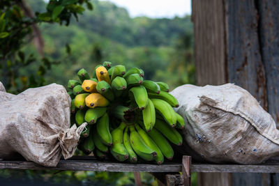 Banana bunch by sacks on shelf