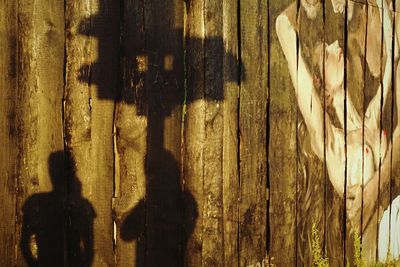 Close-up of wooden door