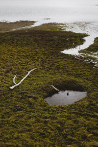 High angle view of bird on beach