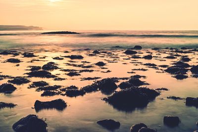 Scenic view of sea against sky during sunset