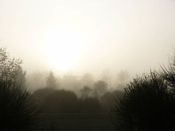 Silhouette trees on landscape against sky