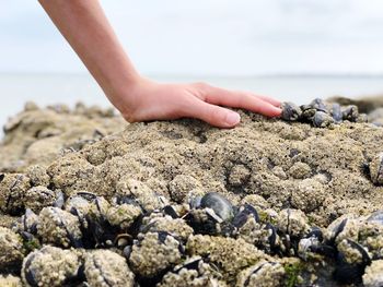 Cropped hand on sand at beach