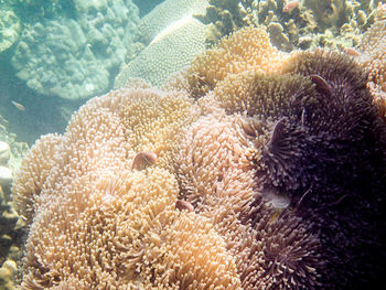 Close-up of swimming pool