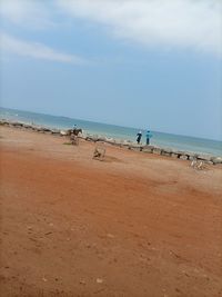 People on beach against sky