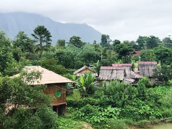 Houses by trees against sky