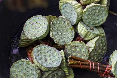 Close-up of lotus water lily