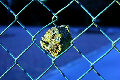 Close-up of chainlink fence