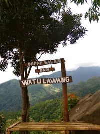 Information sign on tree against sky