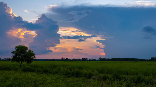 Scenic view of field against sky during sunset