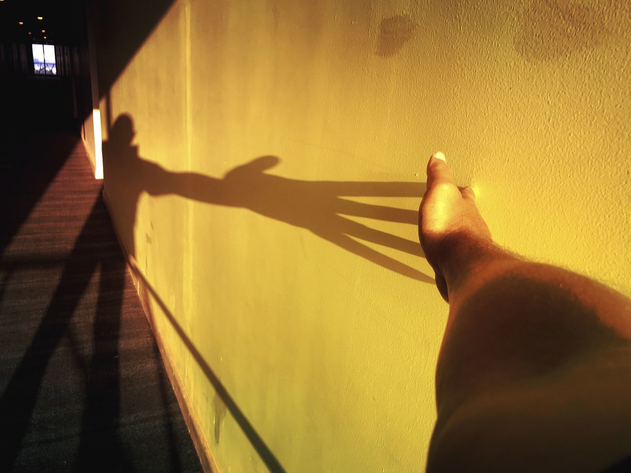 SHADOW OF PEOPLE ON WALL IN SUNLIGHT