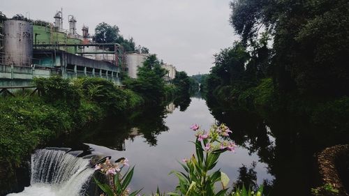 Canal amidst trees and buildings against sky