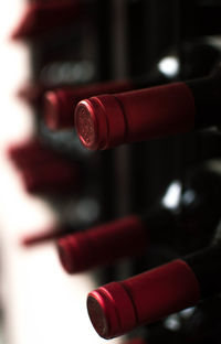 Close-up of red wine bottles on rack