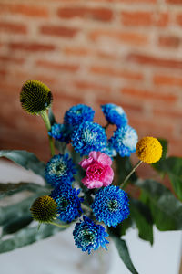 Close-up of purple flowering plant