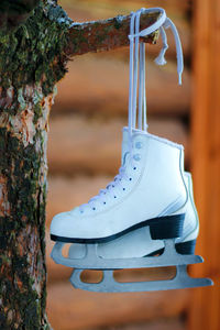 Close-up of figure skates hanging on a tree branch. active holidays with the family in winter.