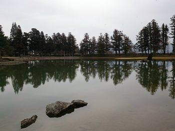 Reflection of trees in calm lake