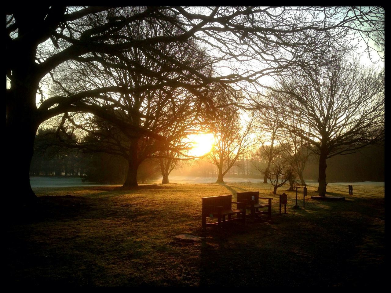 tree, sunset, tranquility, tranquil scene, bare tree, branch, scenics, tree trunk, grass, sun, nature, silhouette, bench, beauty in nature, sunlight, park - man made space, landscape, sky, field, orange color