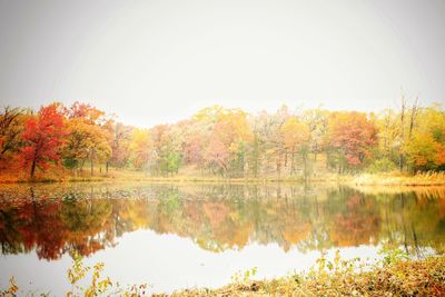 Scenic view of lake by trees during autumn