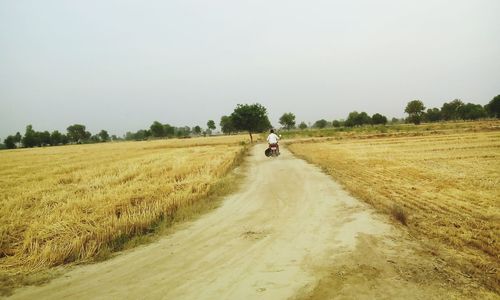 Rear view of man riding motorcycle on country road