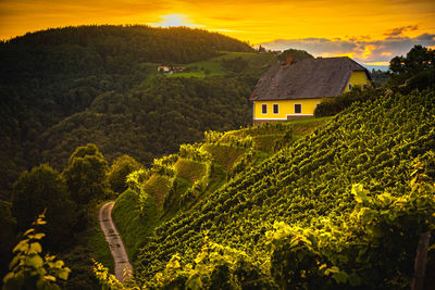 House amidst trees and buildings against mountains during sunset