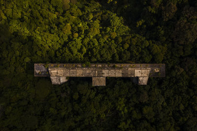 Built structure in forest