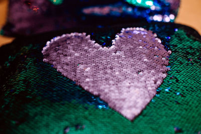 Close-up of heart shape on purple leaf