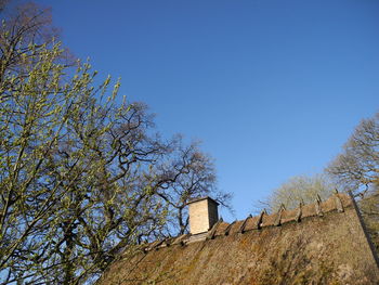 Low angle view of trees against clear sky