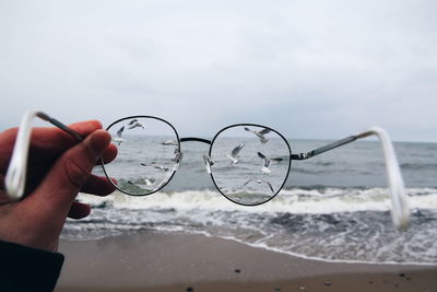 Seagulls seen through eyeglasses held by cropped hand at beach