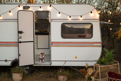 Cute jack russell terrier dog wearing a knitted sweater in a motorhome. travel by van in the fall