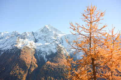 Scenic view of snowcapped mountains against clear sky