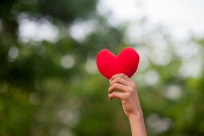 Close-up of person holding red heart shape